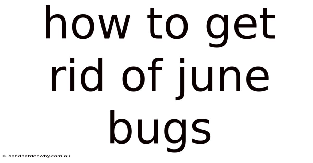 How To Get Rid Of June Bugs