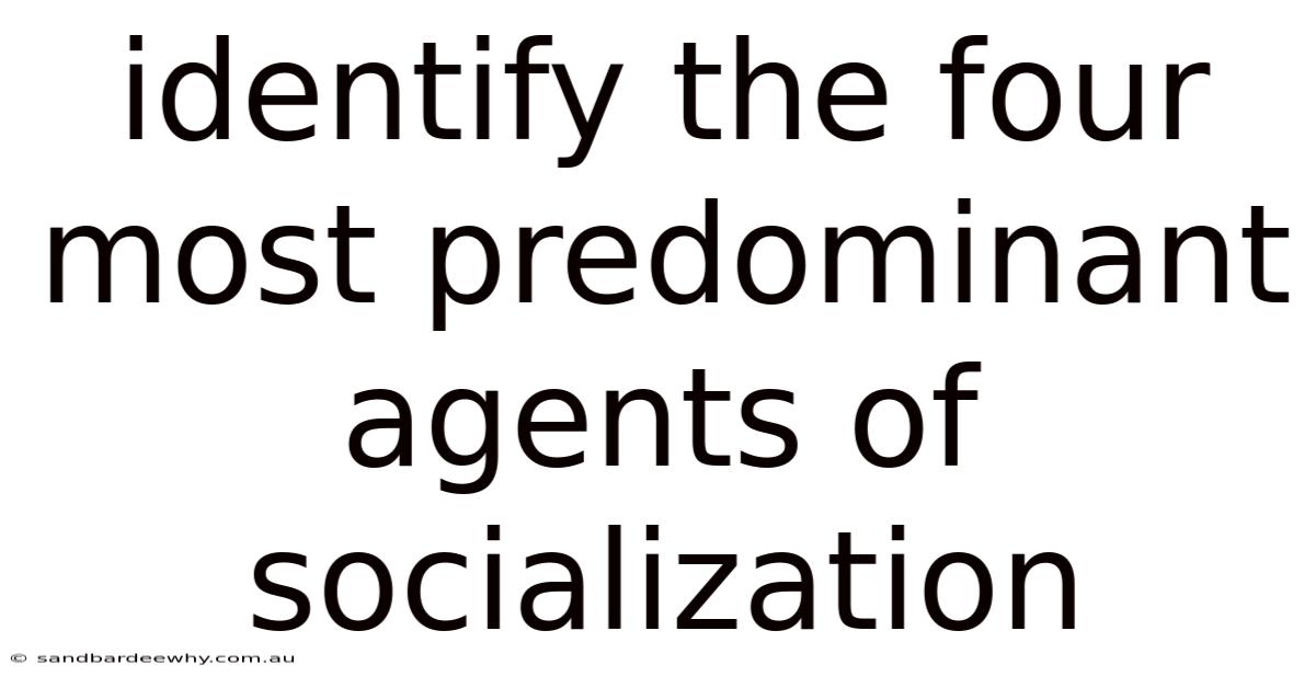 Identify The Four Most Predominant Agents Of Socialization