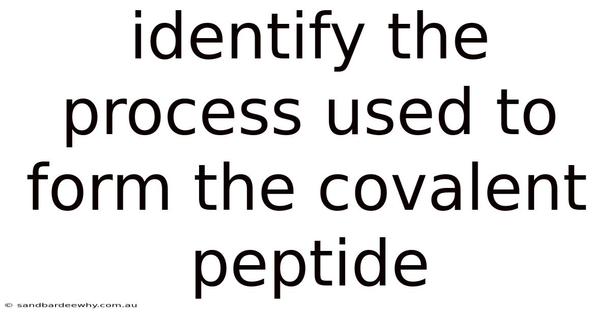 Identify The Process Used To Form The Covalent Peptide