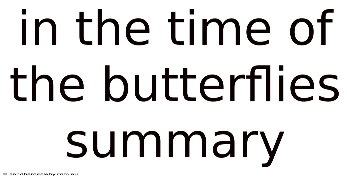 In The Time Of The Butterflies Summary
