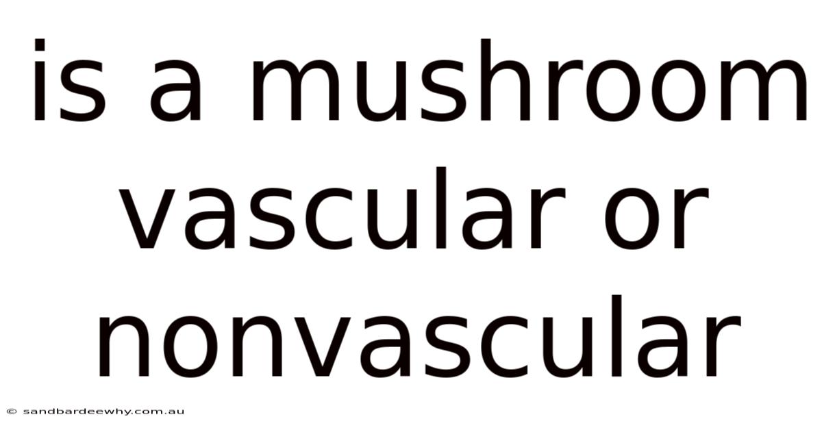 Is A Mushroom Vascular Or Nonvascular