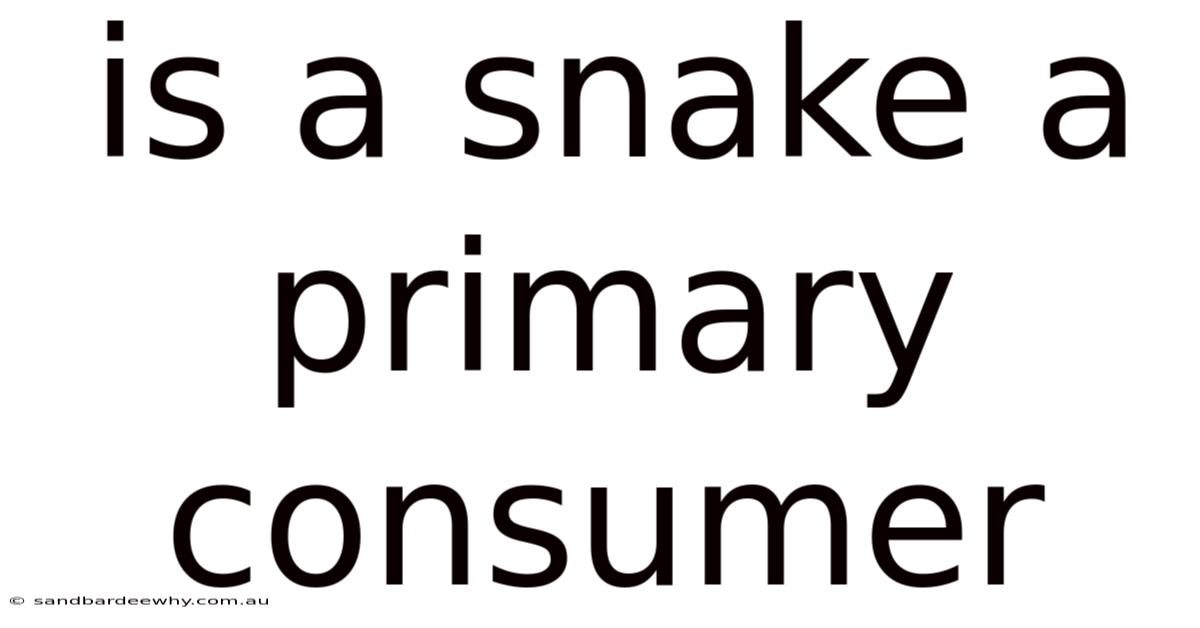 Is A Snake A Primary Consumer
