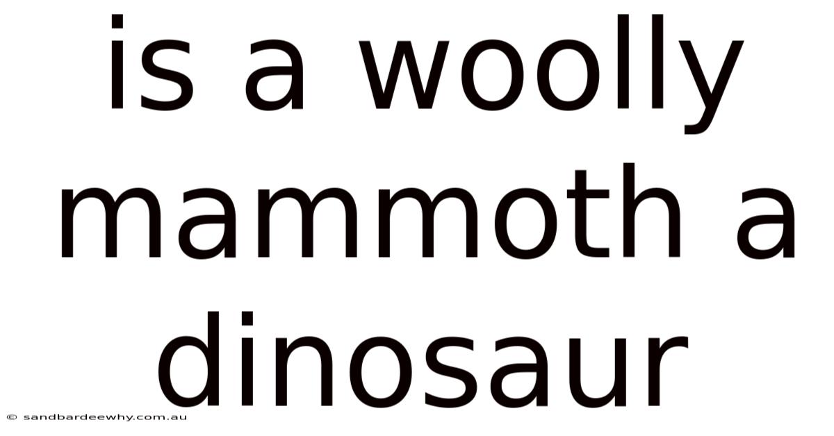Is A Woolly Mammoth A Dinosaur