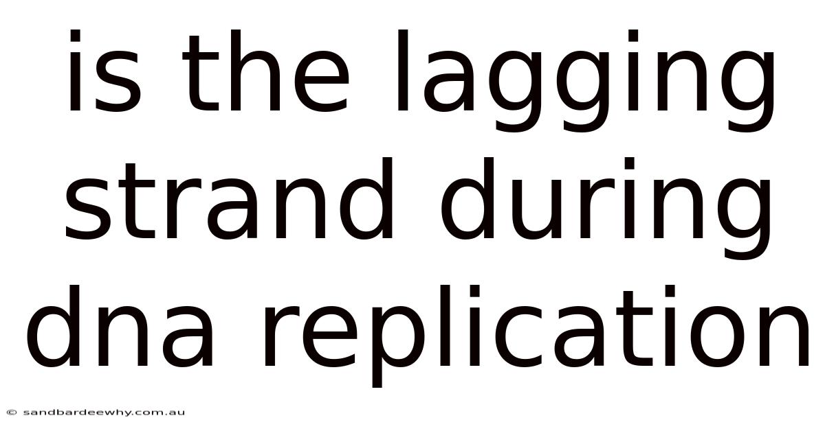 Is The Lagging Strand During Dna Replication