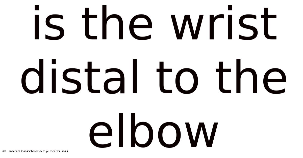Is The Wrist Distal To The Elbow