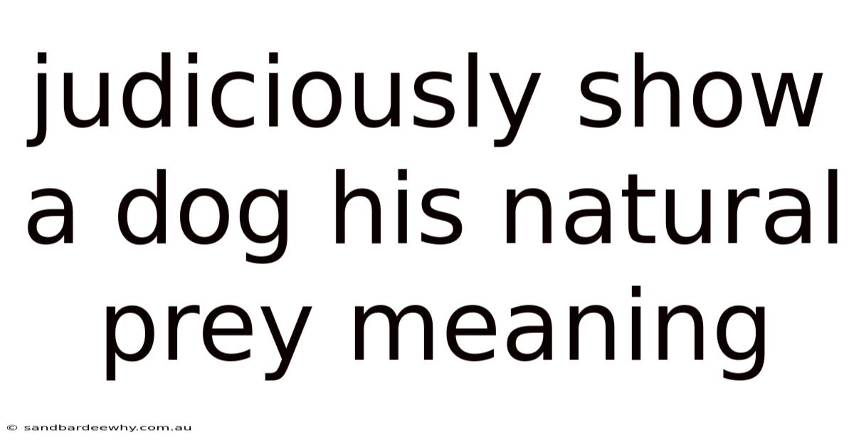 Judiciously Show A Dog His Natural Prey Meaning