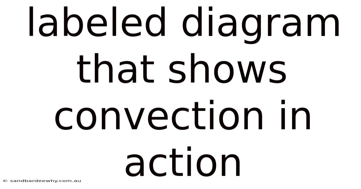 Labeled Diagram That Shows Convection In Action