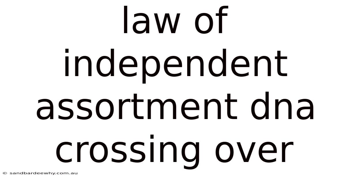 Law Of Independent Assortment Dna Crossing Over