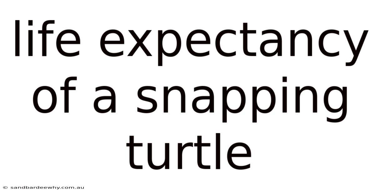Life Expectancy Of A Snapping Turtle