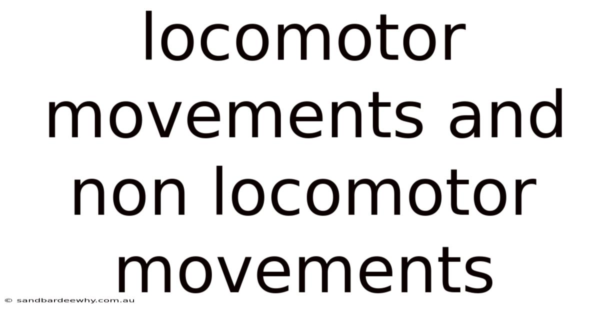 Locomotor Movements And Non Locomotor Movements