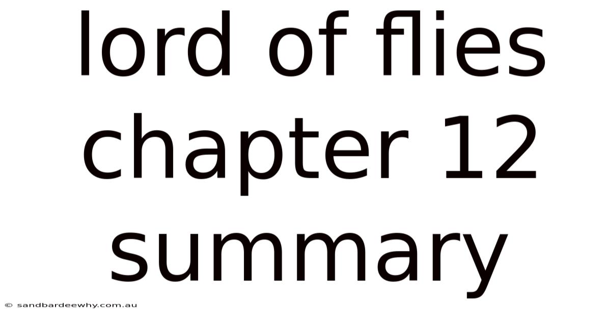 Lord Of Flies Chapter 12 Summary
