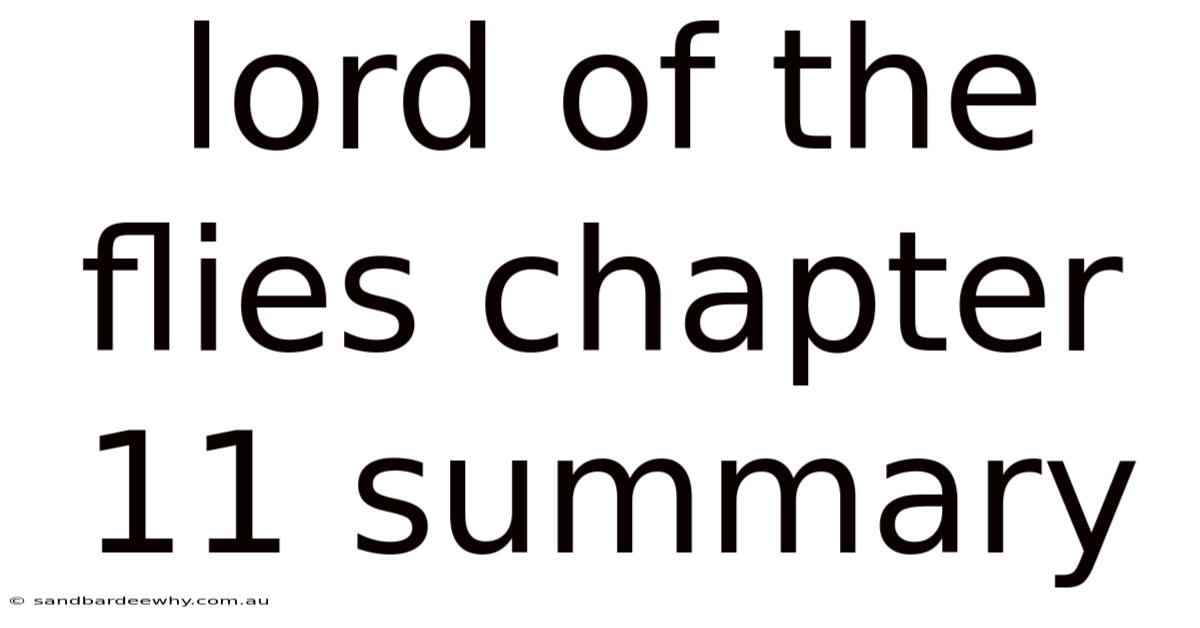 Lord Of The Flies Chapter 11 Summary