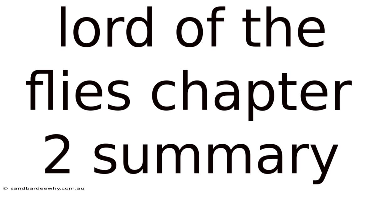 Lord Of The Flies Chapter 2 Summary