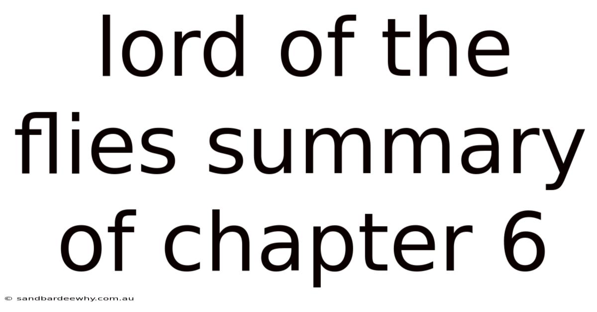 Lord Of The Flies Summary Of Chapter 6