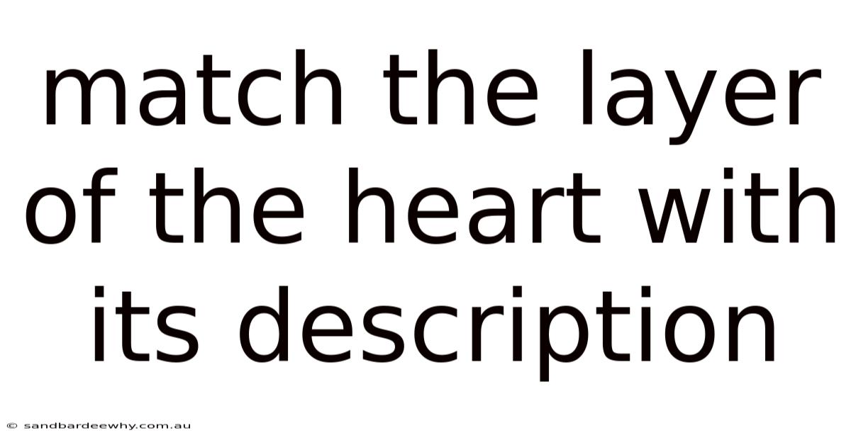 Match The Layer Of The Heart With Its Description