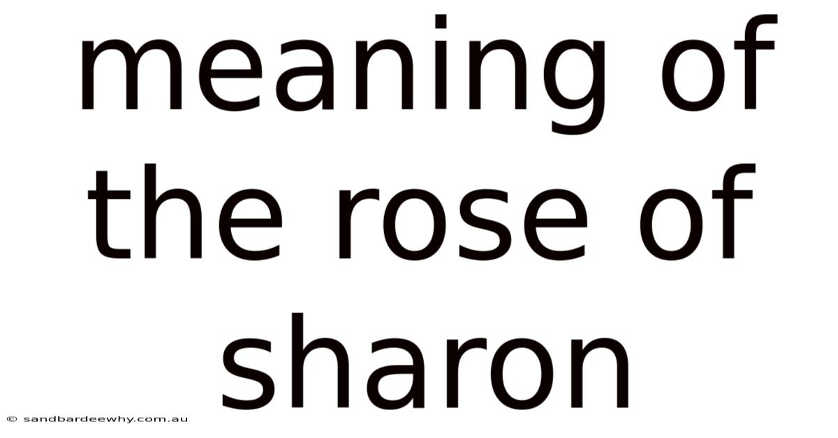 Meaning Of The Rose Of Sharon