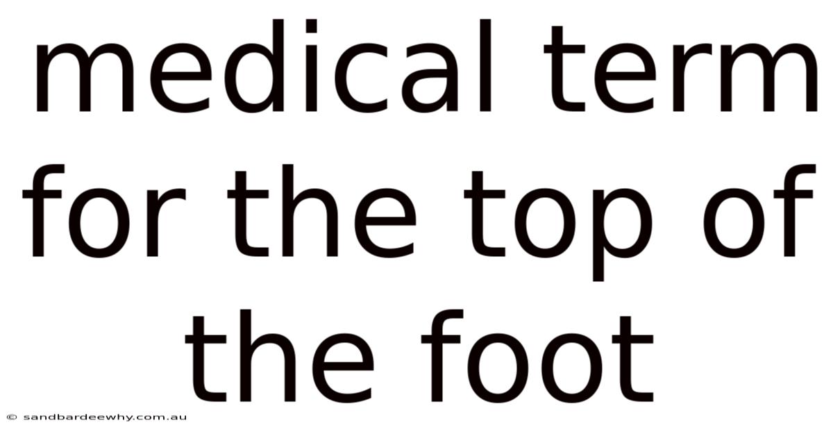 Medical Term For The Top Of The Foot