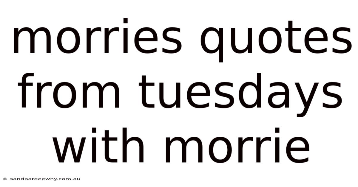 Morries Quotes From Tuesdays With Morrie