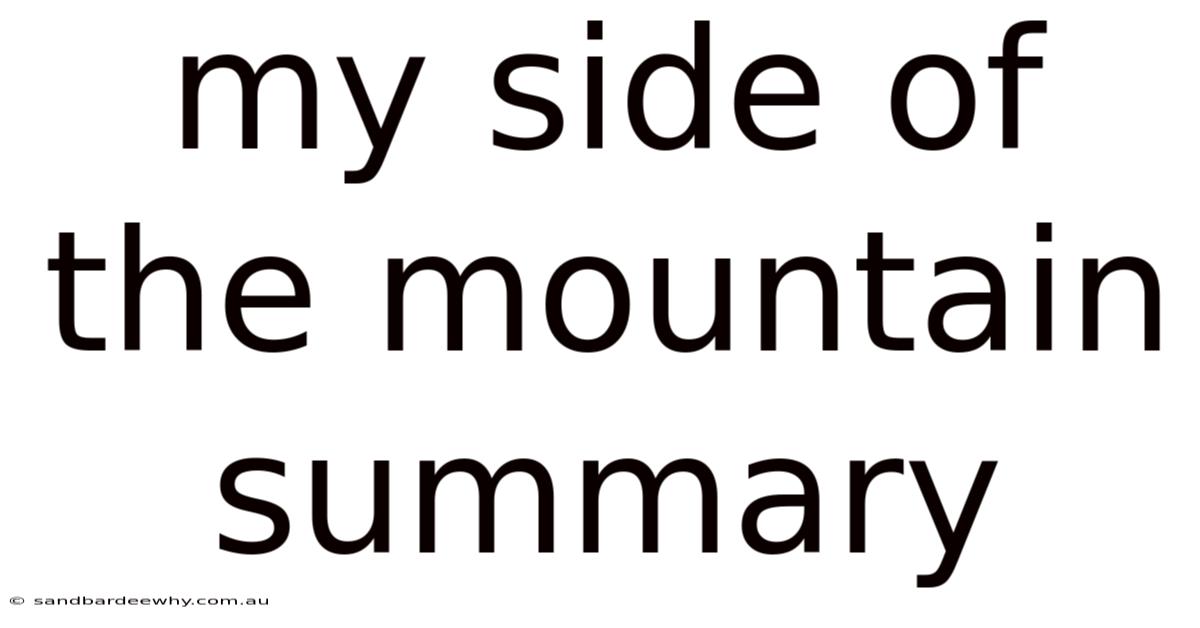 My Side Of The Mountain Summary