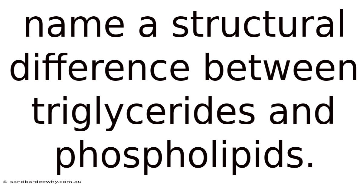 Name A Structural Difference Between Triglycerides And Phospholipids.