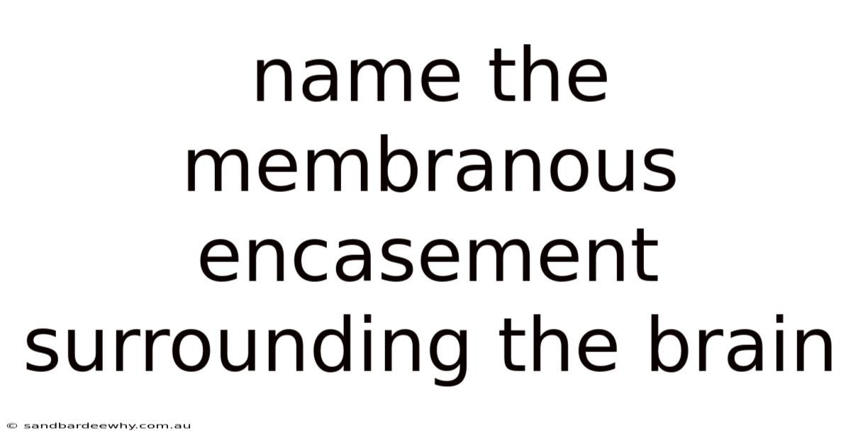 Name The Membranous Encasement Surrounding The Brain