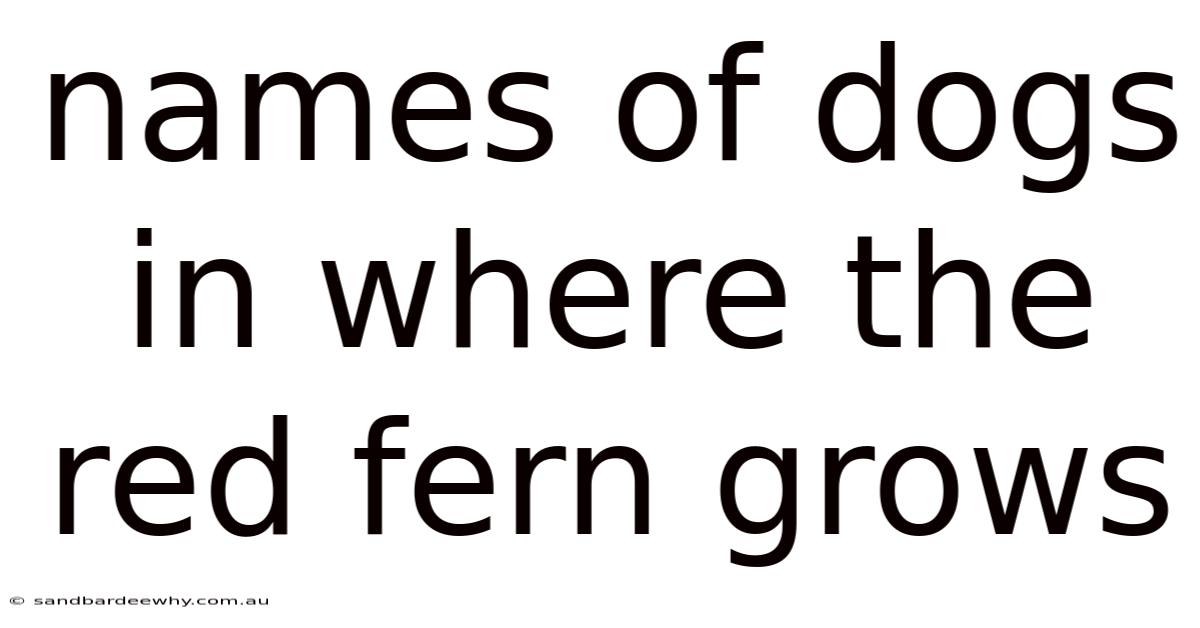 Names Of Dogs In Where The Red Fern Grows