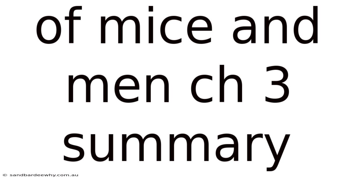 Of Mice And Men Ch 3 Summary