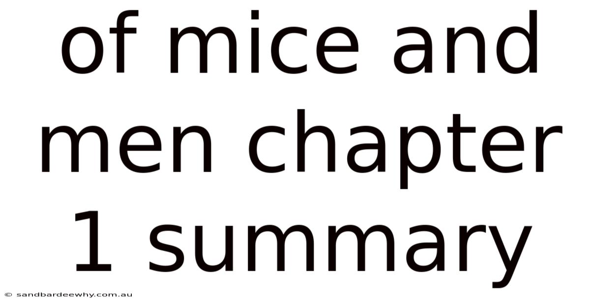 Of Mice And Men Chapter 1 Summary