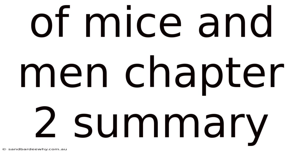Of Mice And Men Chapter 2 Summary
