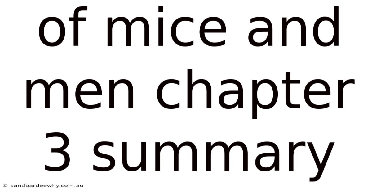 Of Mice And Men Chapter 3 Summary