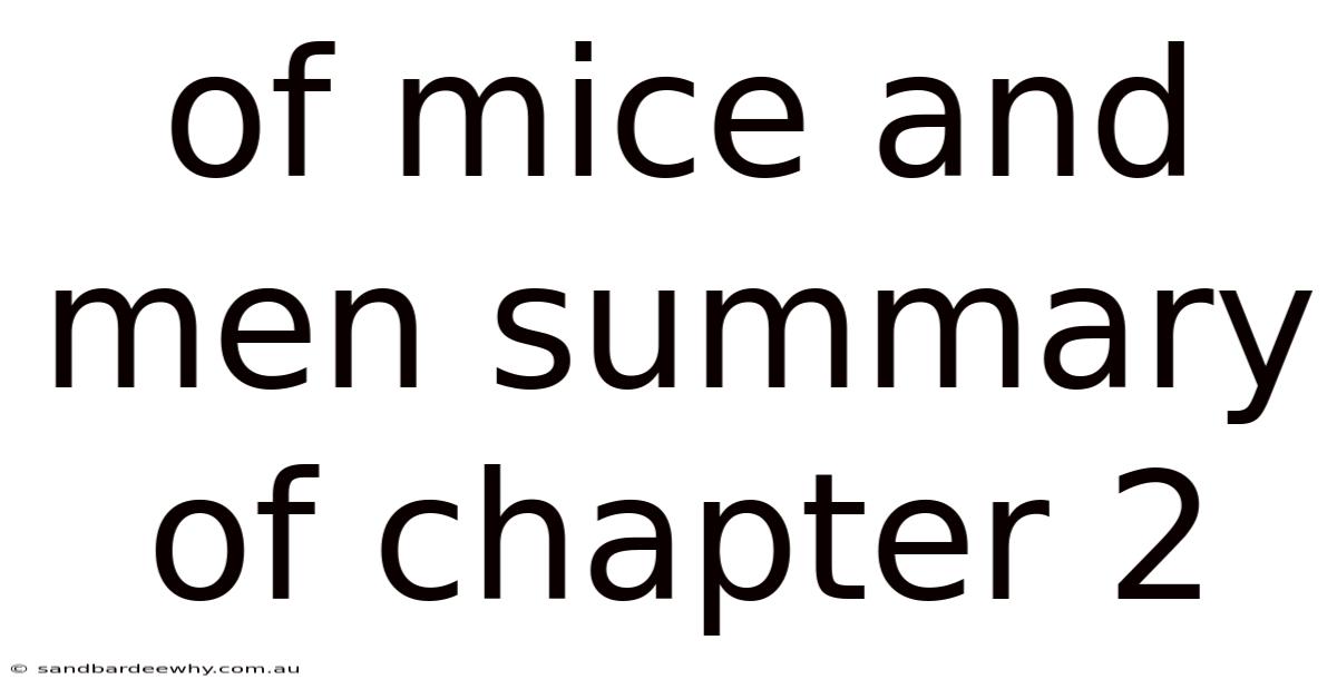 Of Mice And Men Summary Of Chapter 2