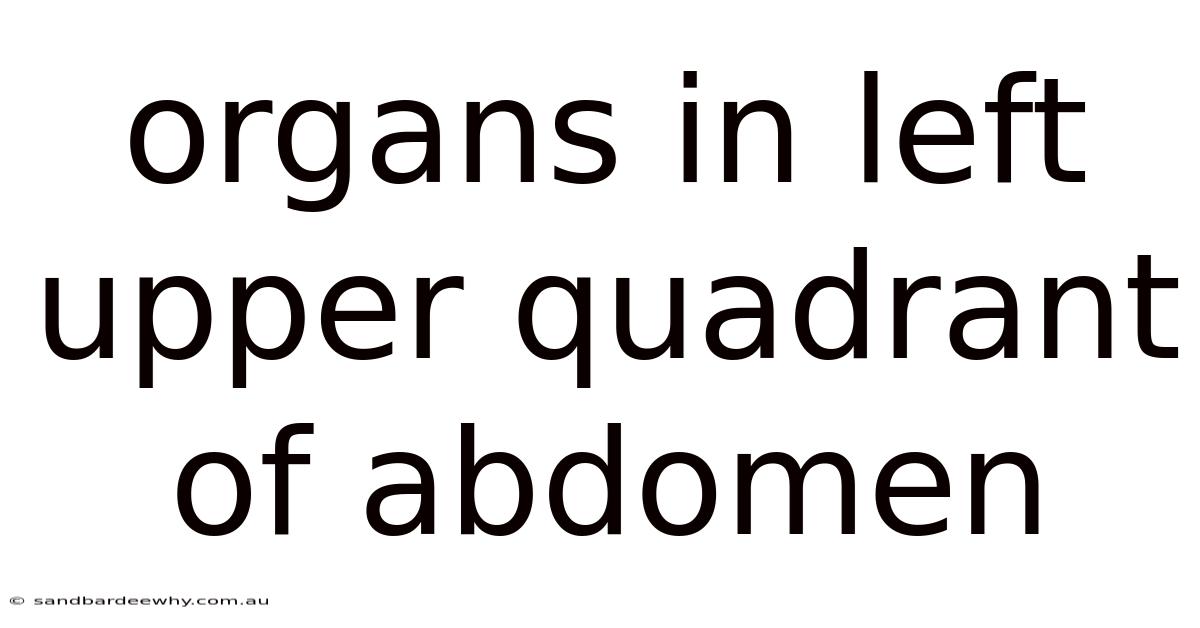 Organs In Left Upper Quadrant Of Abdomen
