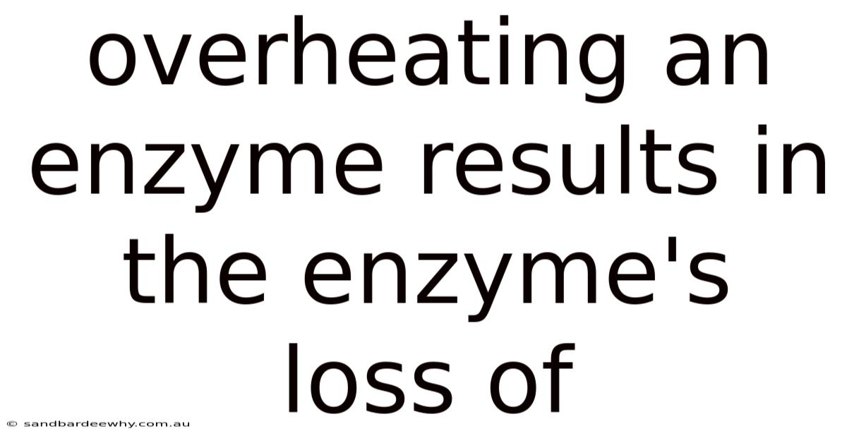 Overheating An Enzyme Results In The Enzyme's Loss Of