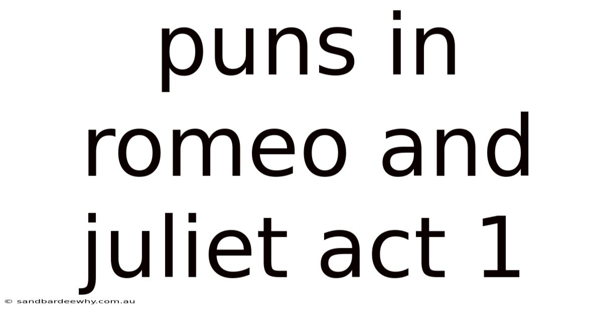 Puns In Romeo And Juliet Act 1