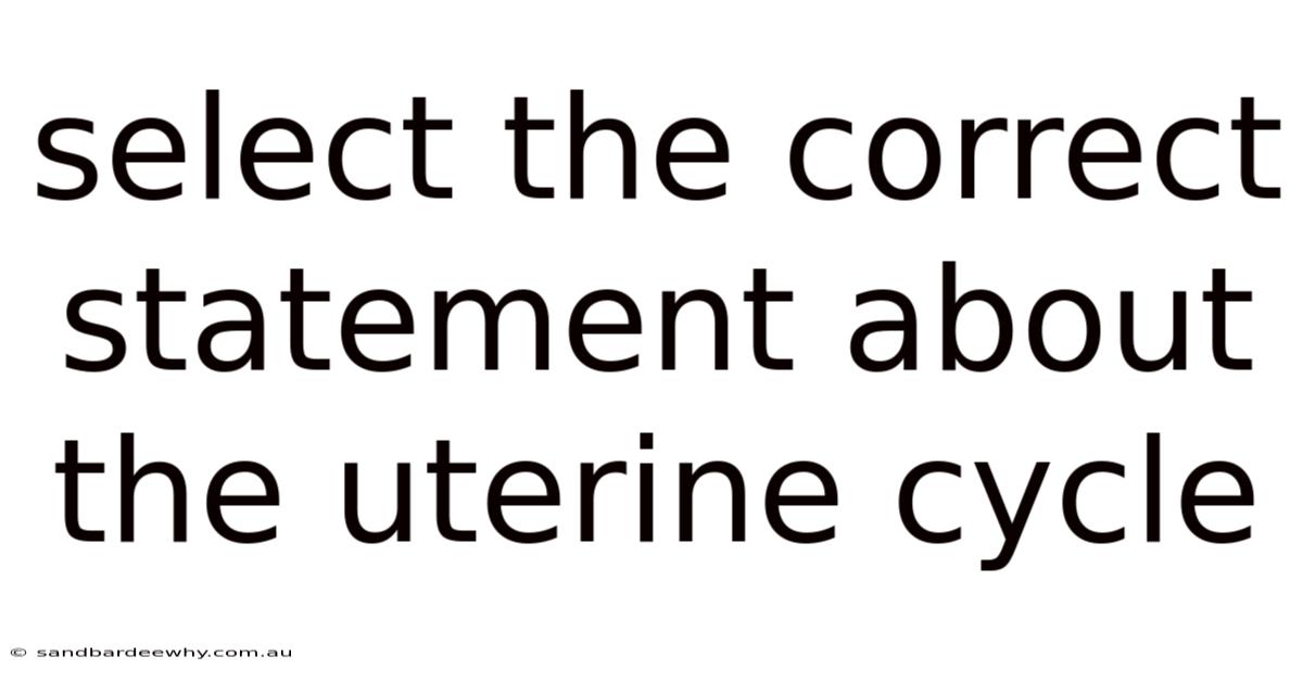 Select The Correct Statement About The Uterine Cycle