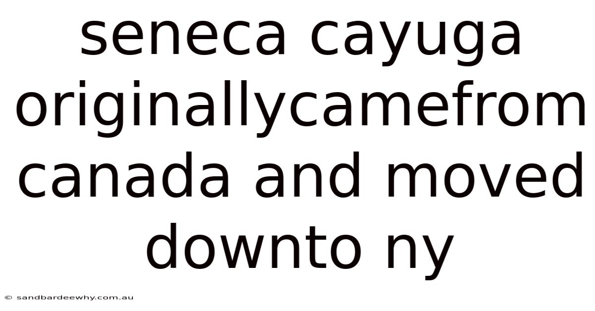 Seneca Cayuga Originallycamefrom Canada And Moved Downto Ny