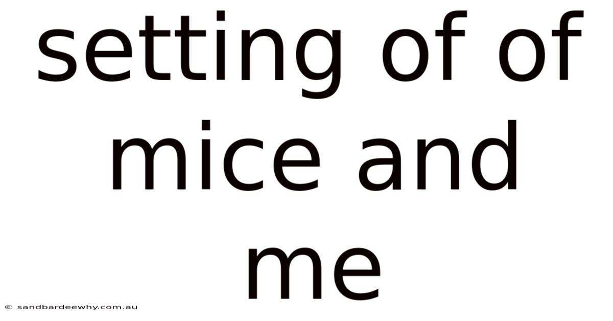 Setting Of Of Mice And Me