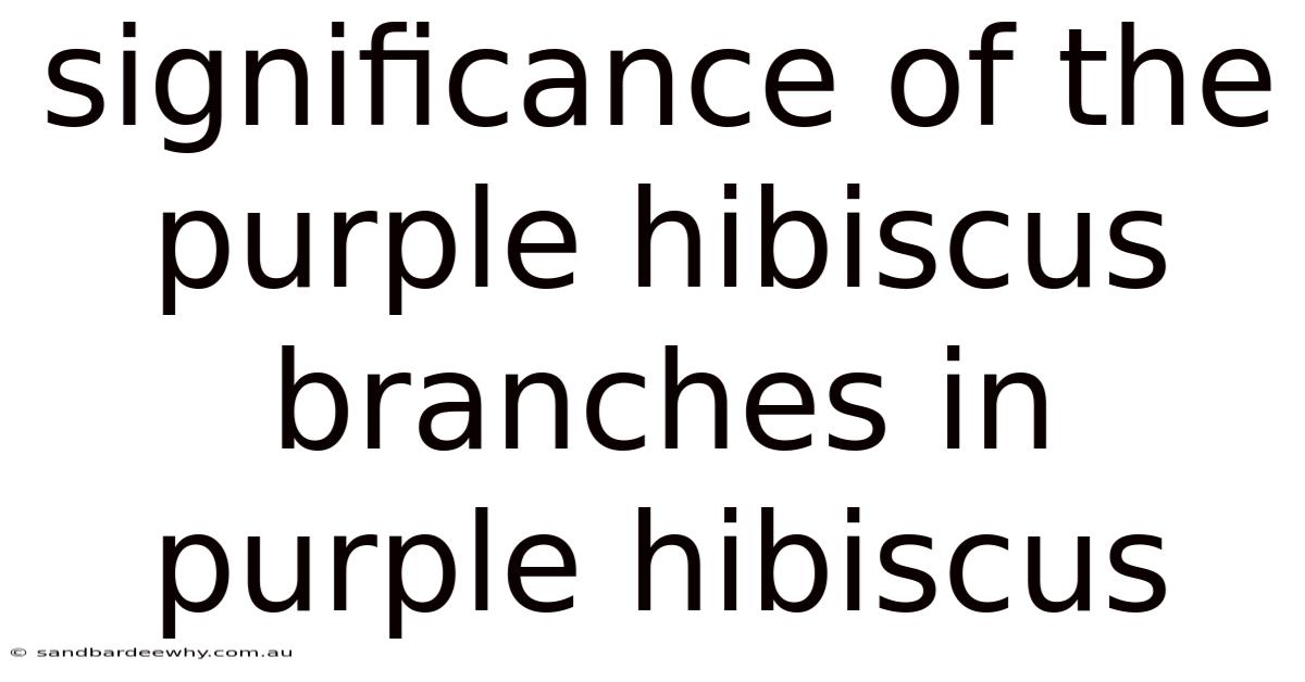 Significance Of The Purple Hibiscus Branches In Purple Hibiscus