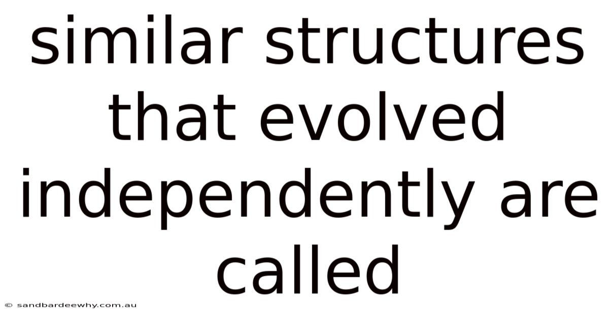 Similar Structures That Evolved Independently Are Called