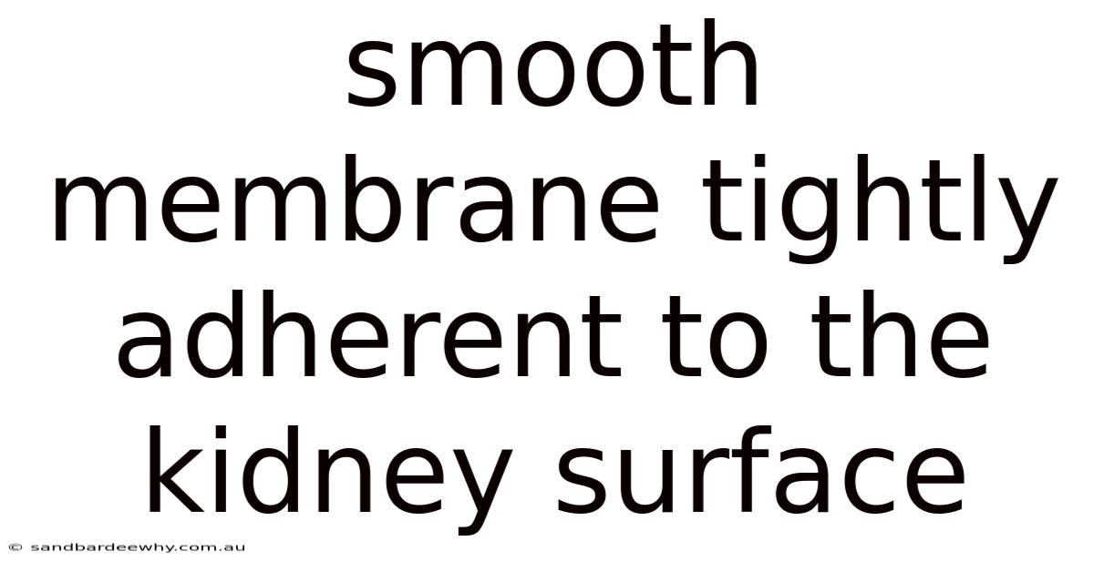 Smooth Membrane Tightly Adherent To The Kidney Surface
