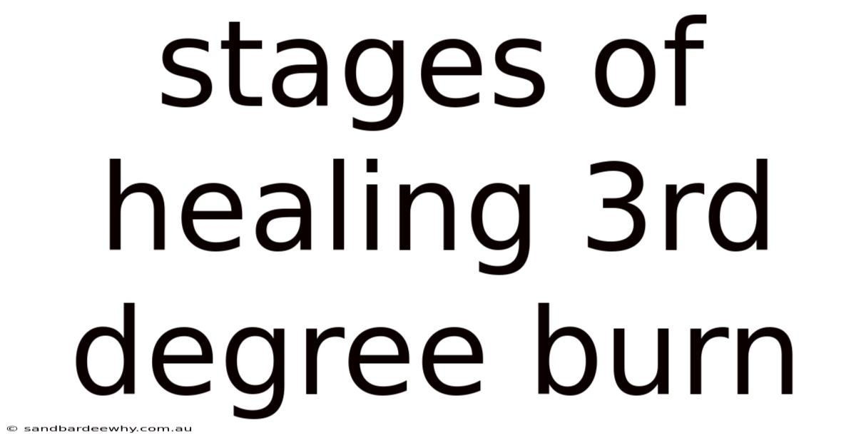 Stages Of Healing 3rd Degree Burn
