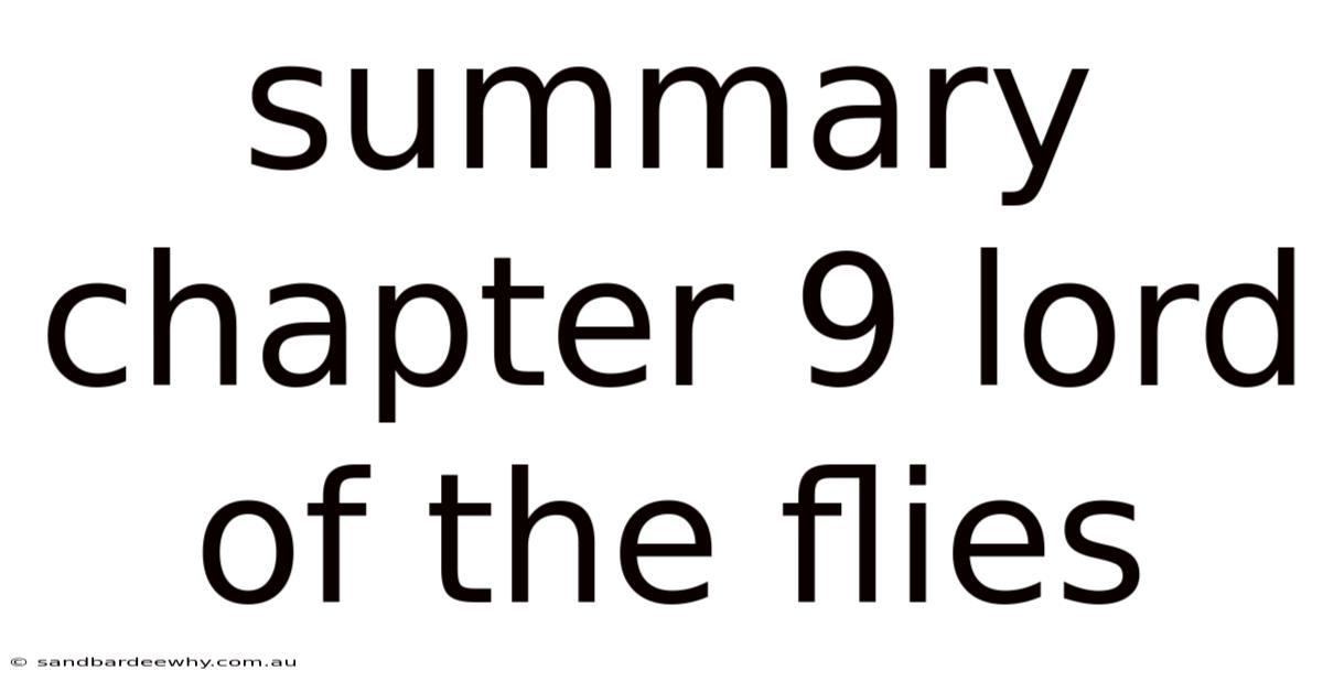 Summary Chapter 9 Lord Of The Flies