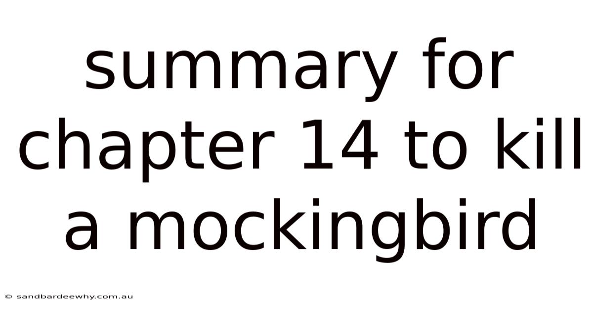 Summary For Chapter 14 To Kill A Mockingbird