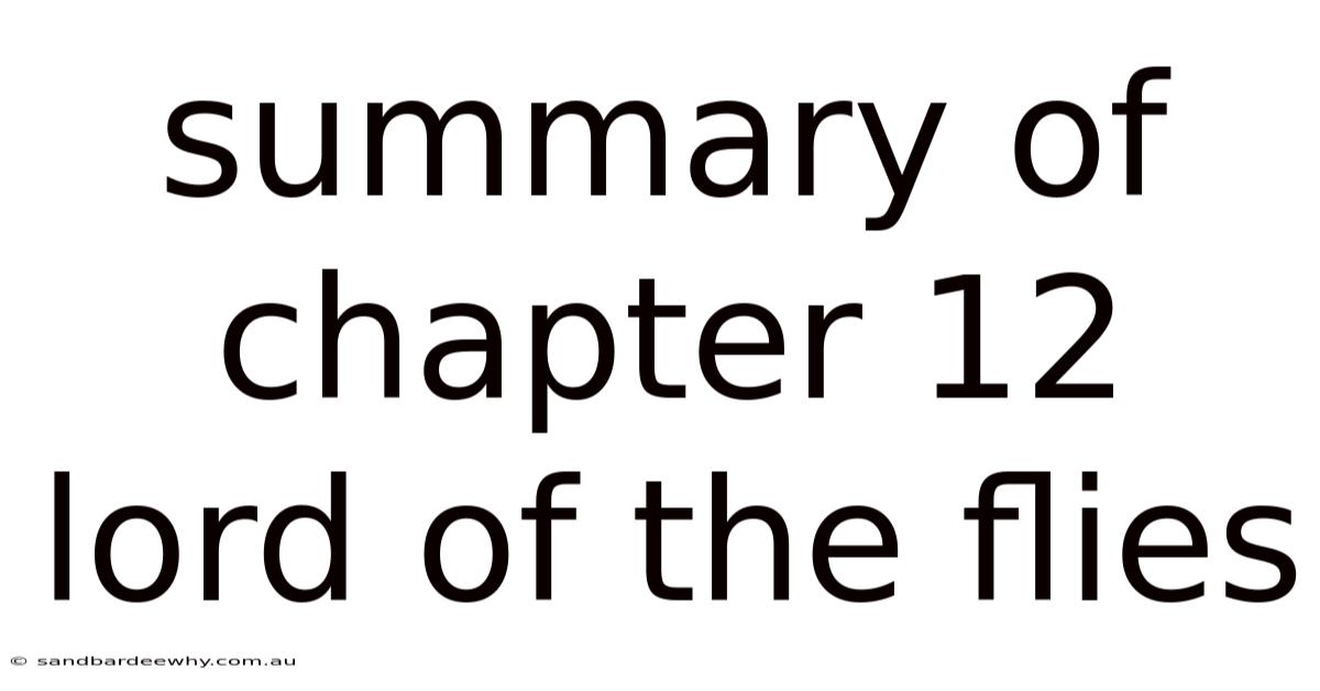 Summary Of Chapter 12 Lord Of The Flies