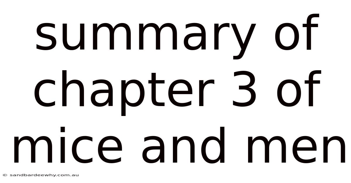Summary Of Chapter 3 Of Mice And Men