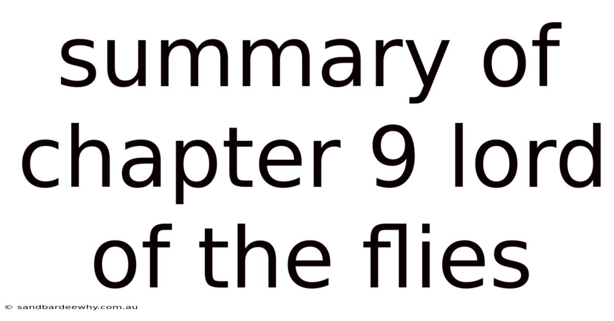 Summary Of Chapter 9 Lord Of The Flies