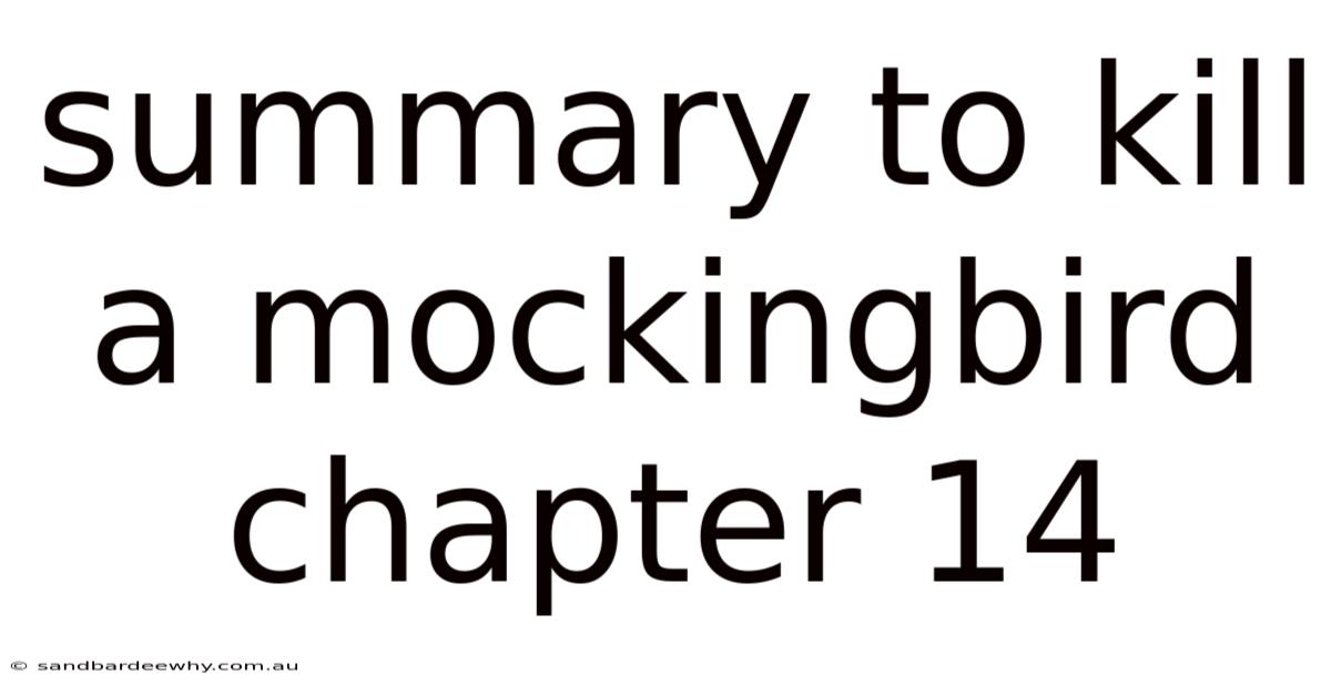 Summary To Kill A Mockingbird Chapter 14