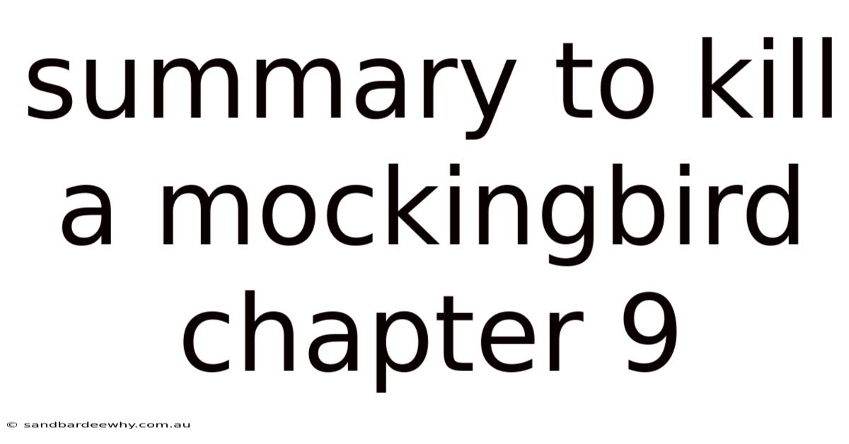 Summary To Kill A Mockingbird Chapter 9