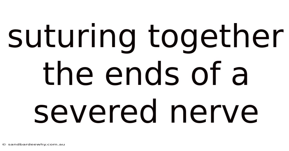 Suturing Together The Ends Of A Severed Nerve