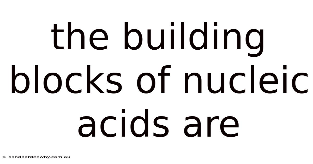The Building Blocks Of Nucleic Acids Are